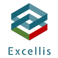 Excellis Holding logo