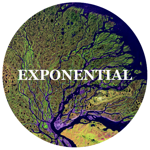 Exponential Impact logo