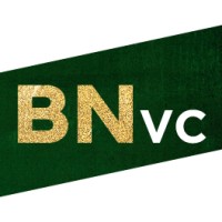Best Nights VC logo
