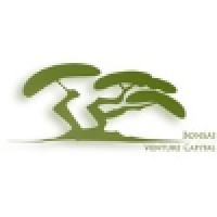 Bonsai Venture Capital logo